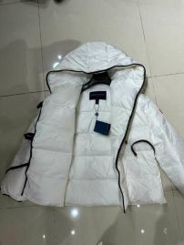 Picture of LV Down Jackets _SKULVsz34-40rzn118847